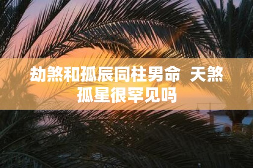 劫煞和孤辰同柱男命 天煞孤星很罕见吗