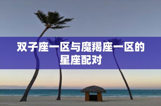 双子座一区与魔羯座一区的星座配对