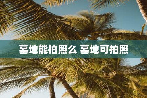 墓地能拍照么 墓地可拍照