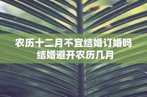 农历十二月不宜结婚订婚吗 结婚避开农历几月