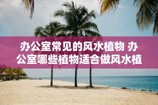 办公室常见的风水植物 办公室哪些植物适合做风水植物
