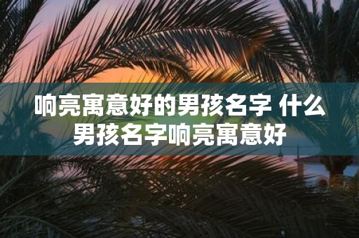 响亮寓意好的男孩名字 什么男孩名字响亮寓意好