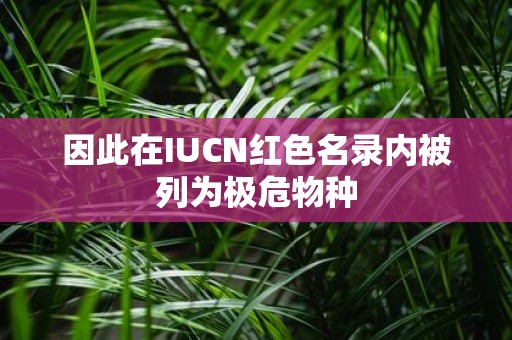 因此在IUCN红色名录内被列为极危物种