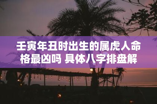 壬寅年丑时出生的属虎人命格最凶吗 具体八字排盘解析
