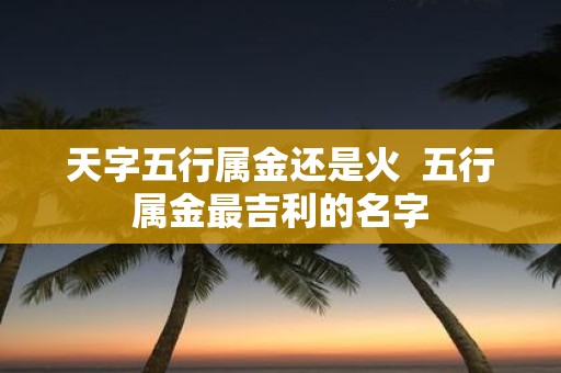 天字五行属金还是火 五行属金最吉利的名字