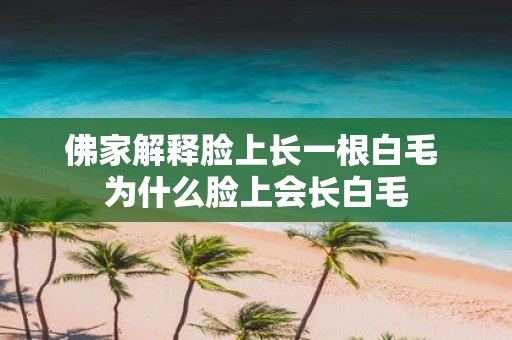 佛家解释脸上长一根白毛 为什么脸上会长白毛
