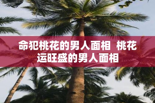 命犯桃花的男人面相 桃花运旺盛的男人面相