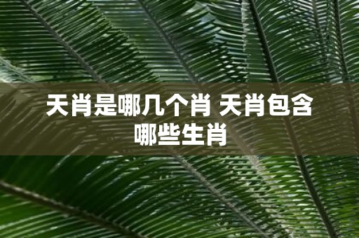 天肖是哪几个肖 天肖包含哪些生肖