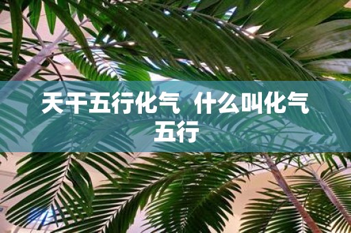 天干五行化气 什么叫化气五行