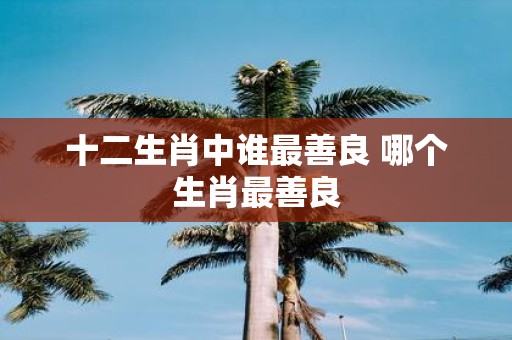 十二生肖中谁最善良 哪个生肖最善良