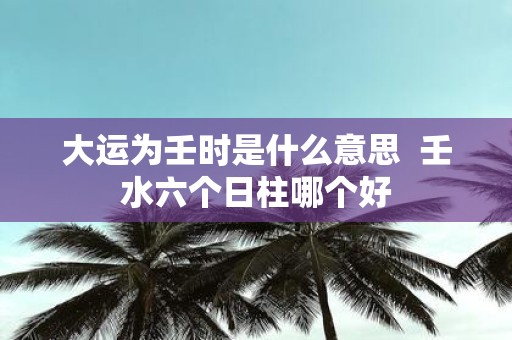 大运为壬时是什么意思 壬水六个日柱哪个好