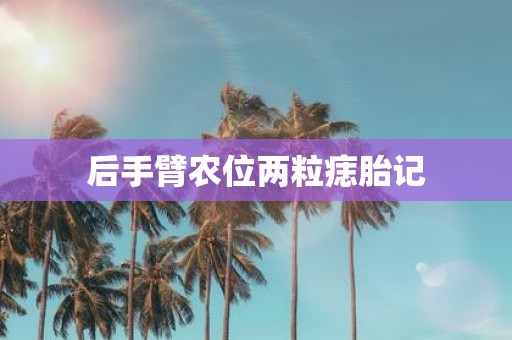 后手臂农位两粒痣胎记