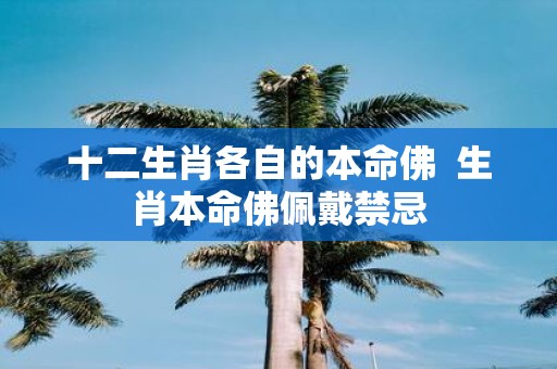 十二生肖各自的本命佛 生肖本命佛佩戴禁忌