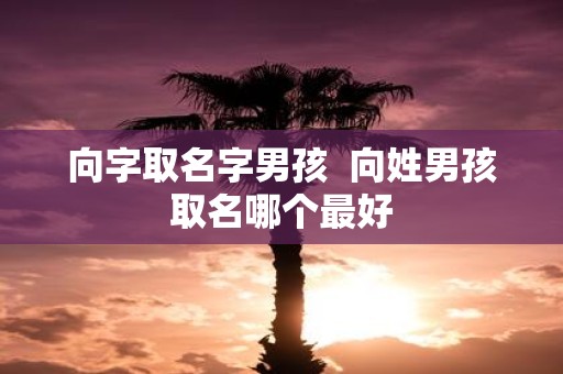 向字取名字男孩 向姓男孩取名哪个最好