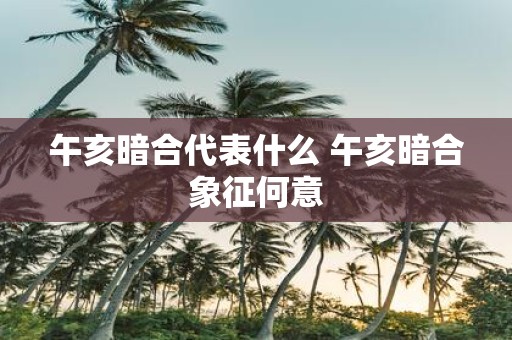 午亥暗合代表什么 午亥暗合象征何意