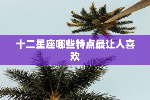 十二星座哪些特点最让人喜欢
