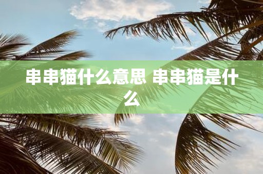 串串猫什么意思 串串猫是什么