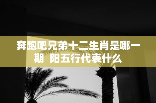 奔跑吧兄弟十二生肖是哪一期 阳五行代表什么