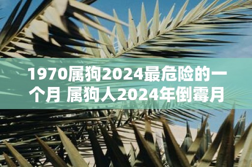 1970属狗2025最危险的一个月 属狗人2025年倒霉月份