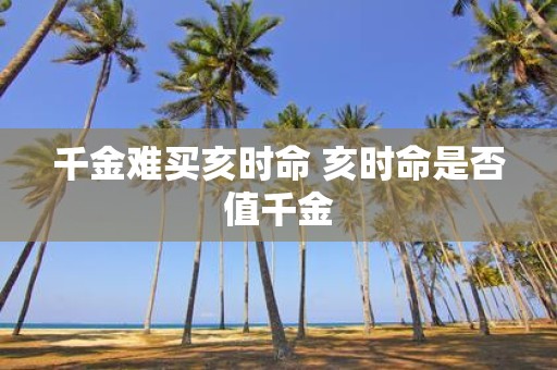 千金难买亥时命 亥时命是否值千金