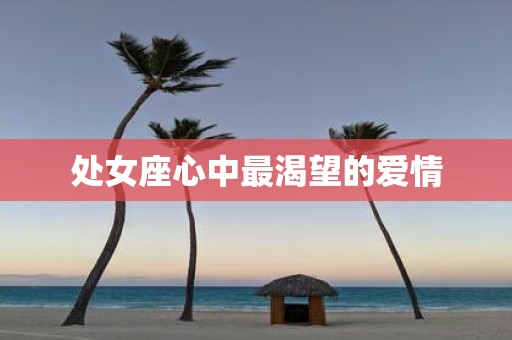 处女座心中最渴望的爱情