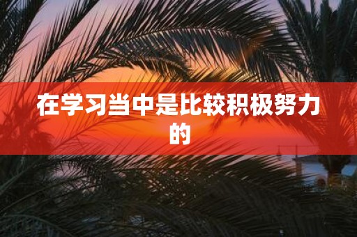 在学习当中是比较积极努力的