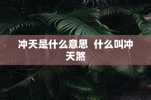 冲天是什么意思 什么叫冲天煞