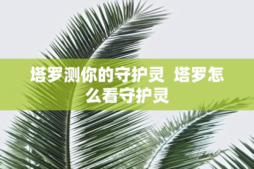 塔罗测你的守护灵 塔罗怎么看守护灵