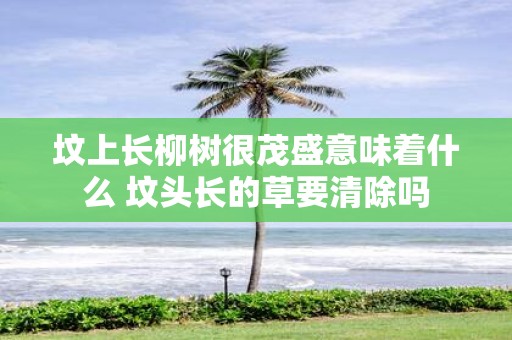 坟上长柳树很茂盛意味着什么 坟头长的草要清除吗