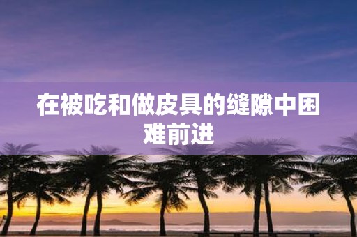 在被吃和做皮具的缝隙中困难前进