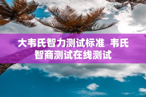 大韦氏智力测试标准 韦氏智商测试在线测试