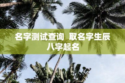 名字测试查询 取名字生辰八字起名