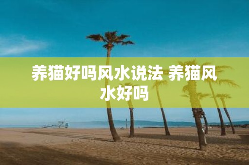 养猫好吗风水说法 养猫风水好吗