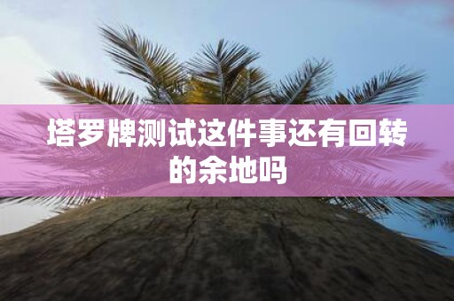 塔罗牌测试这件事还有回转的余地吗