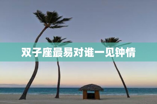 双子座最易对谁一见钟情
