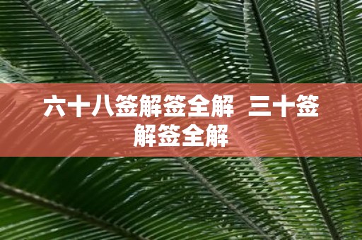 六十八签解签全解 三十签解签全解