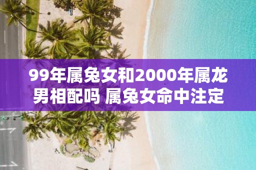 99年属兔女和2000年属龙男相配吗 属兔女命中注定的丈夫