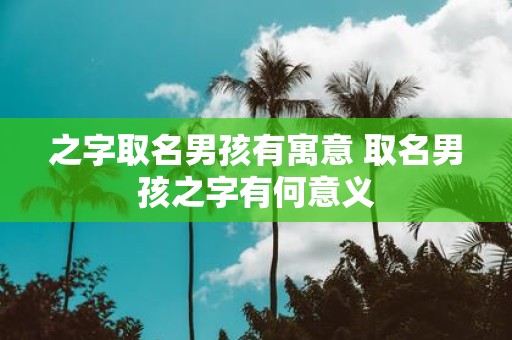 之字取名男孩有寓意 取名男孩之字有何意义