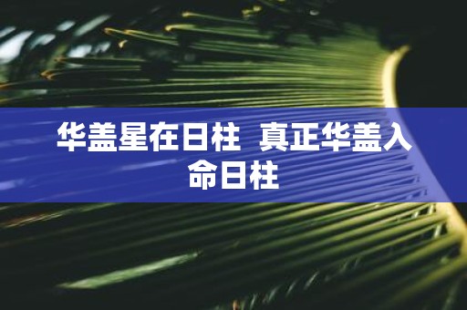 华盖星在日柱 真正华盖入命日柱