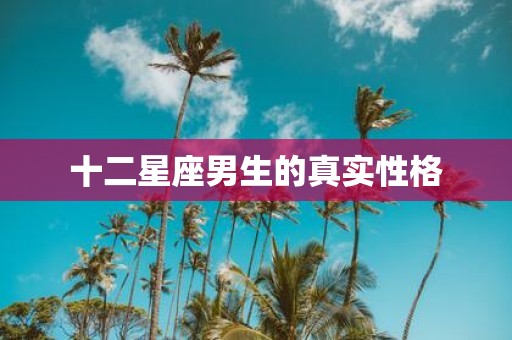 十二星座男生的真实性格