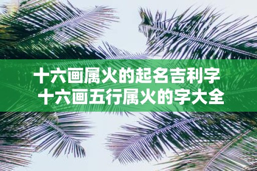十六画属火的起名吉利字 十六画五行属火的字大全