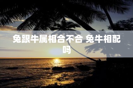 兔跟牛属相合不合 兔牛相配吗