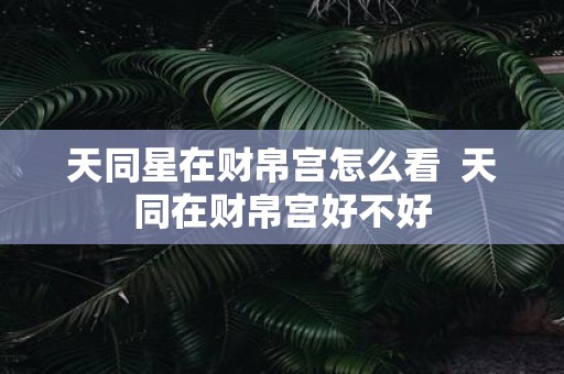 天同星在财帛宫怎么看 天同在财帛宫好不好