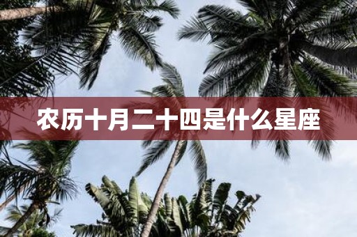 农历十月二十四是什么星座 农历十月二十四是什么星座