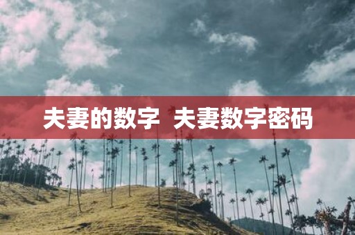 夫妻的数字 夫妻数字密码