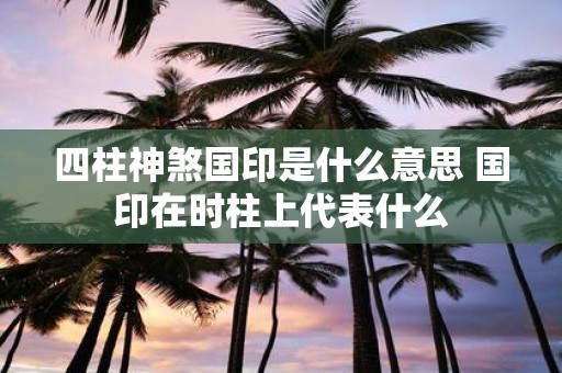 四柱神煞国印是什么意思 国印在时柱上代表什么
