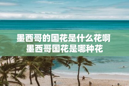 墨西哥的国花是什么花啊 墨西哥国花是哪种花