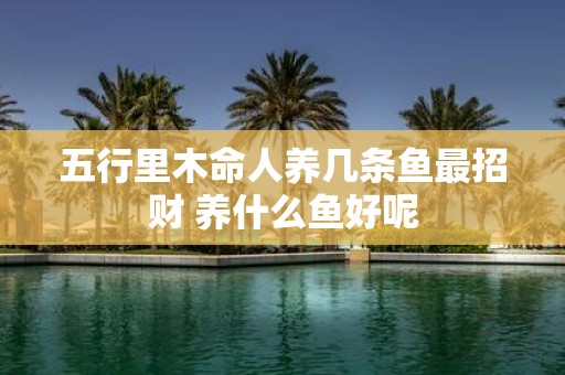 五行里木命人养几条鱼最招财 养什么鱼好呢