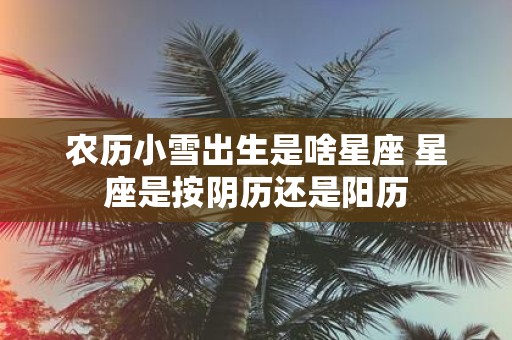 农历小雪出生是啥星座 星座是按阴历还是阳历