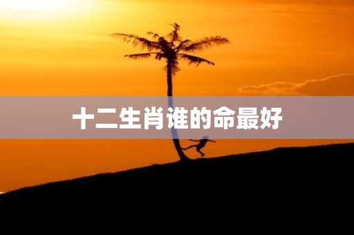 十二生肖谁的命最好